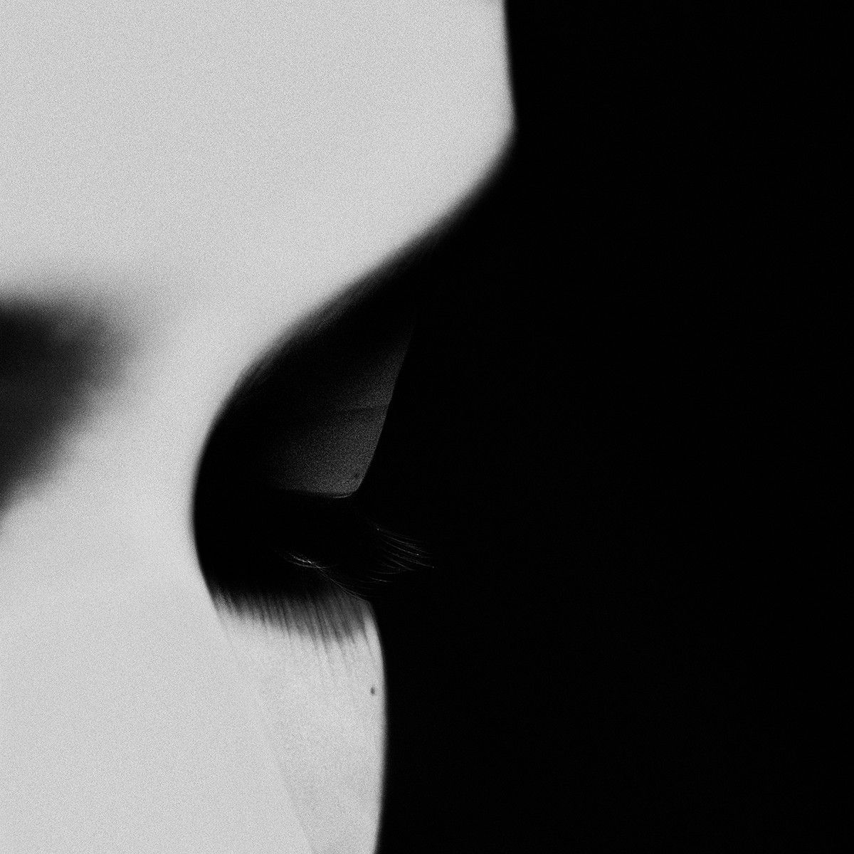 Noell Oszvald, Untitled #8, 2017