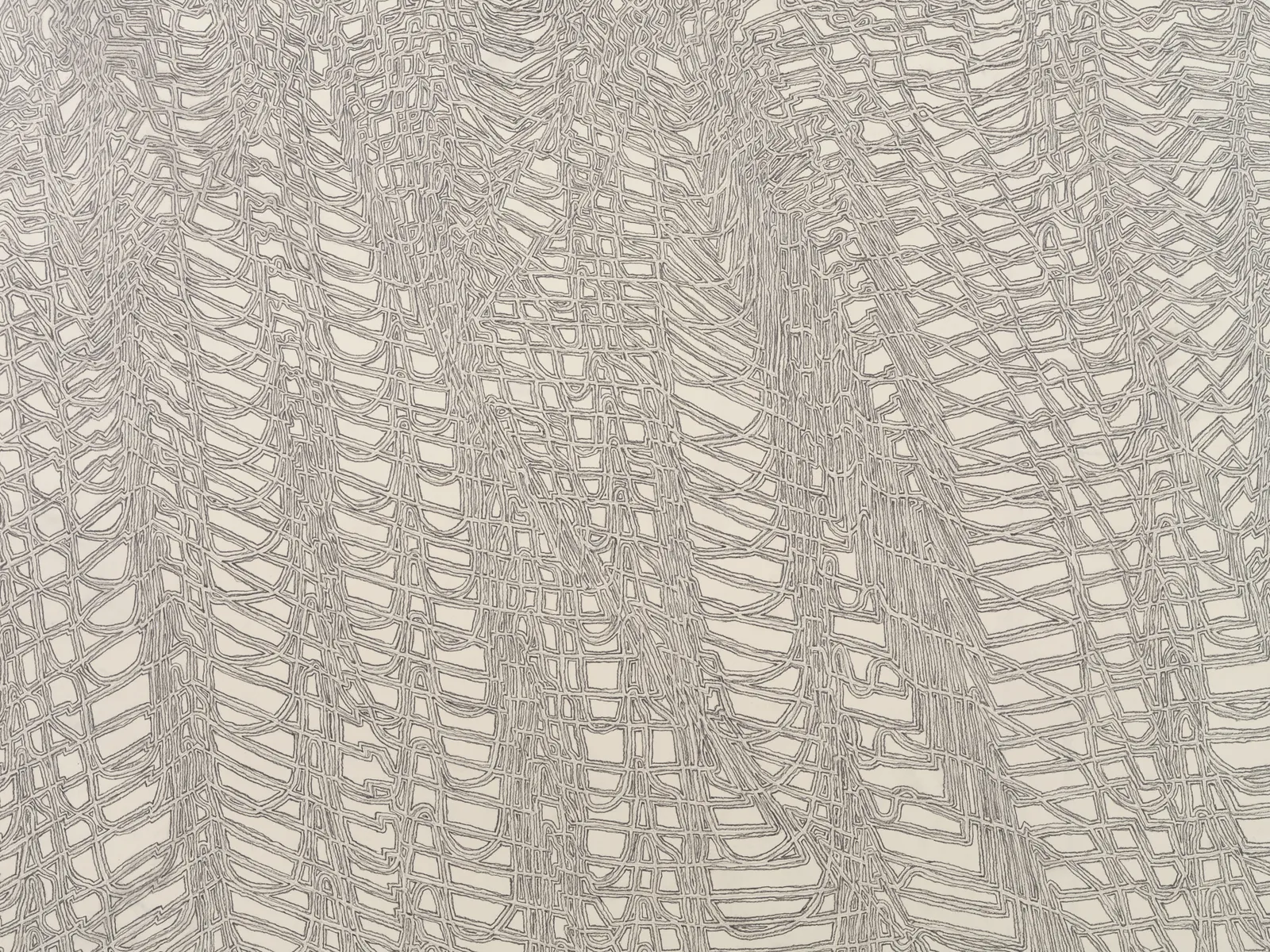 JAMES SIENA, Omnium, 2023-2024