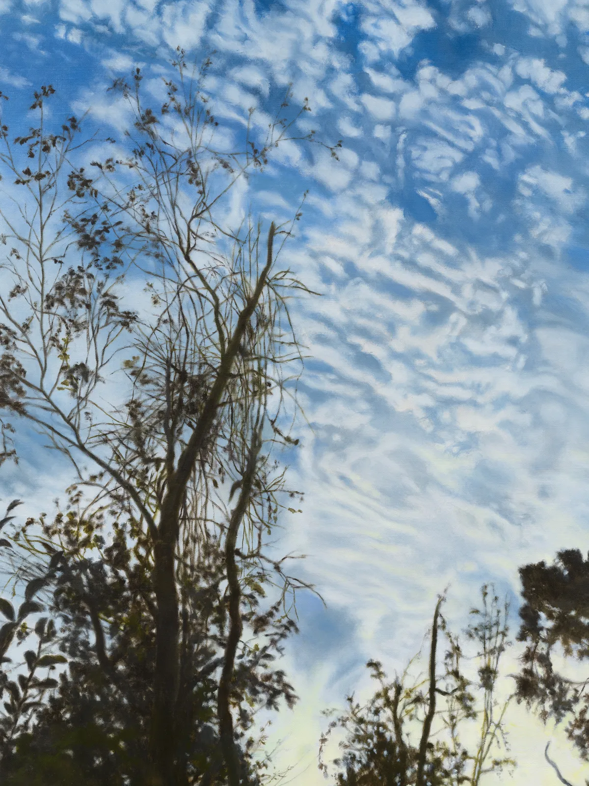 APRIL GORNIK, The Palm at the End of the Mind, 2026