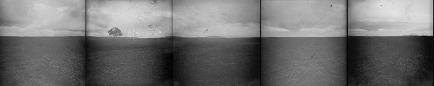 于一蘭, 《地平線：樹》 Horizon: Pohon, 2003