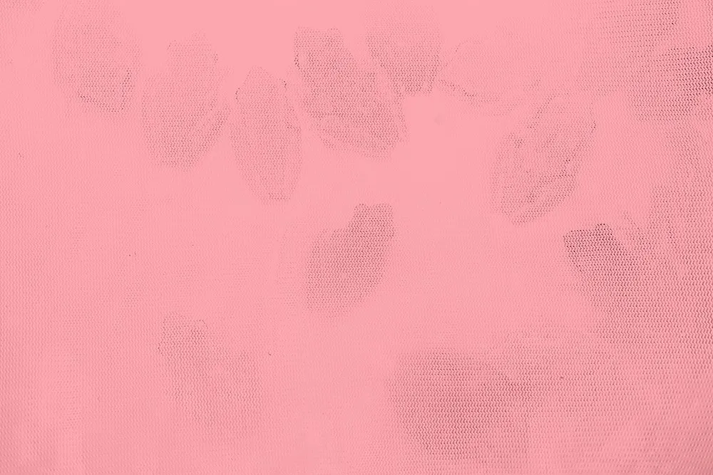 趙仁輝, 《斑腿樹蛙，台北》 Spotted Tree Frogs, Taipei, 2019