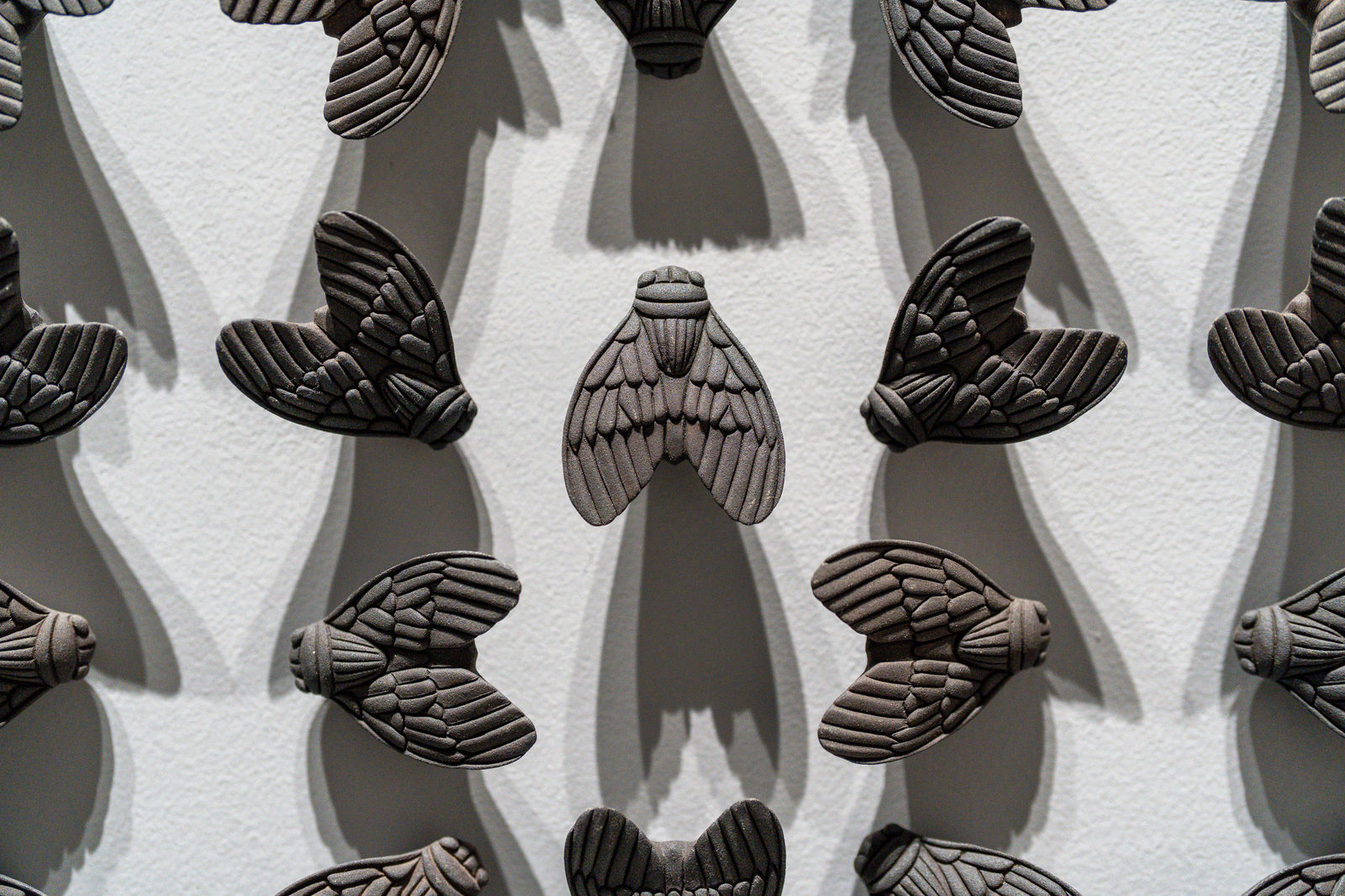 艾伯特・約拿桑・瑟提亞萬, 《重生 I》 Palingenesis I, 2024