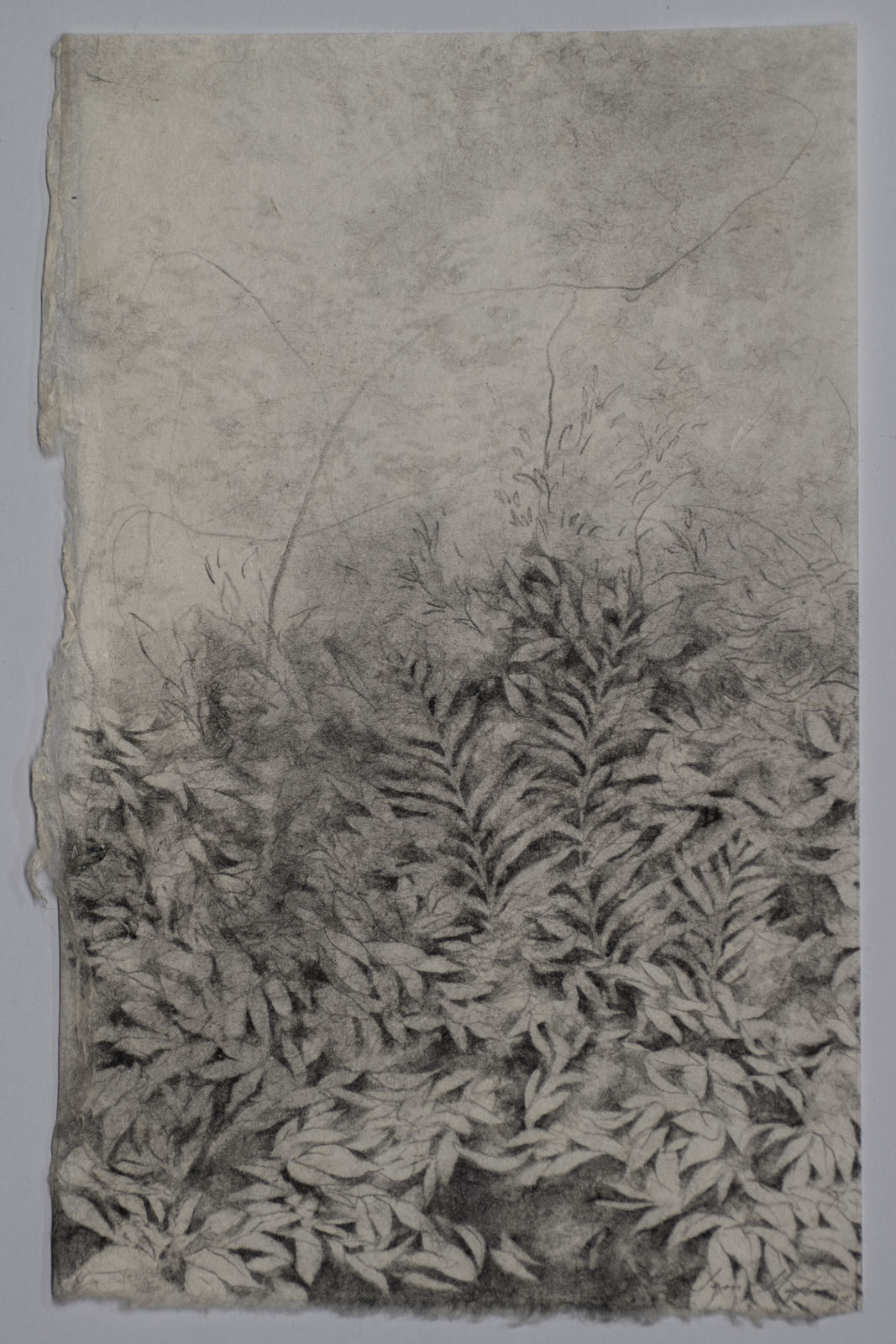 Jem MAGBANUA, 《草枕 I》 i. Grass Pillow, 2020