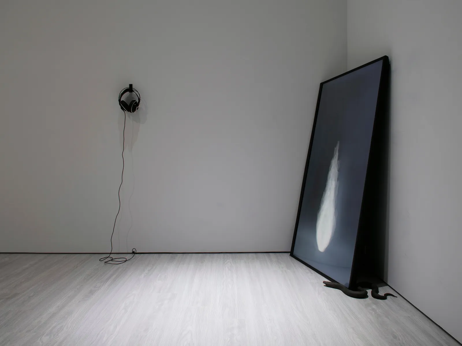 劉致宏, 《灰黑之火》The Darkness Flame, 2023