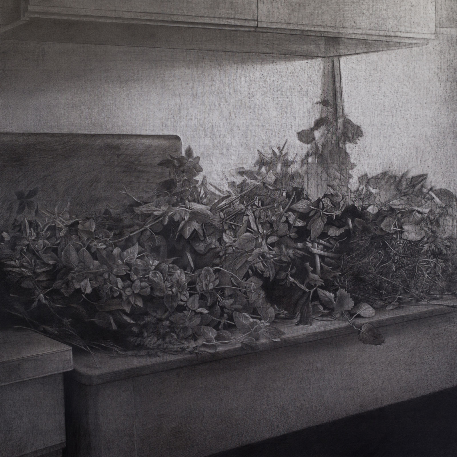 安娜・瑪瑞亞・米庫, 《力量……生活如常》 power...Life has not been the same, 2016