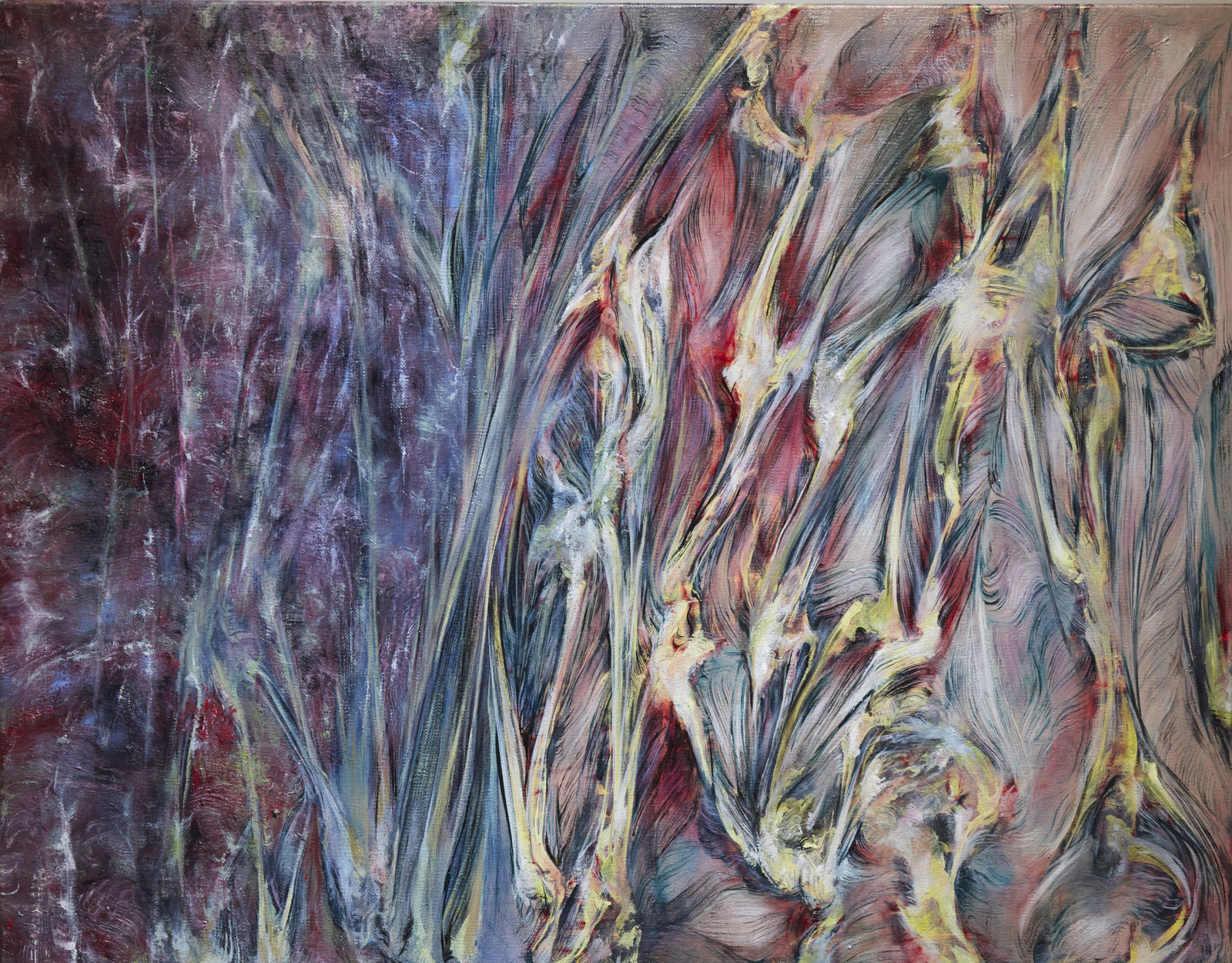 謝鴻均 , 《分歧之境》 The Environment of Divergence, 2017