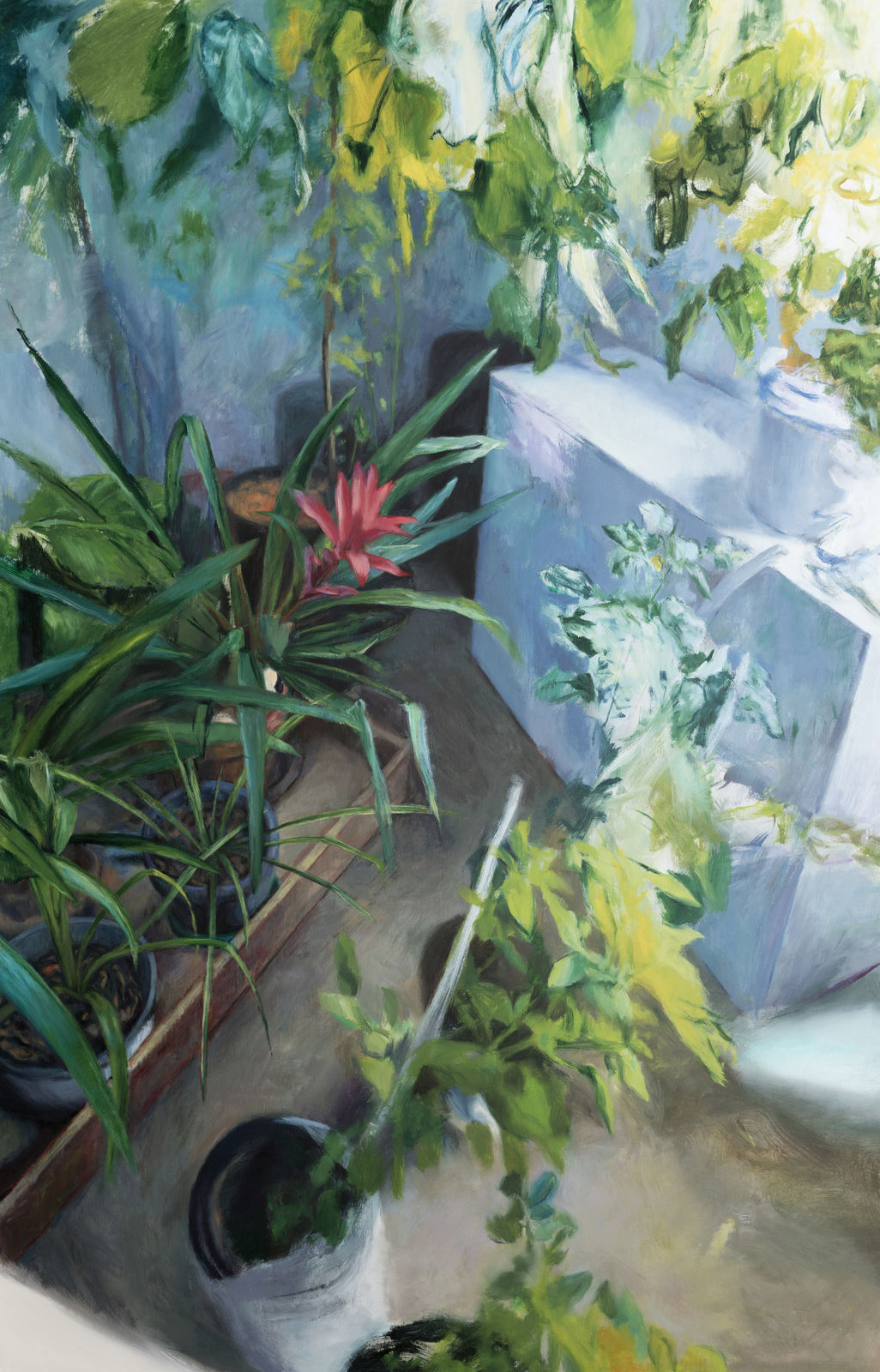 安娜・瑪瑞亞・米庫, 《太陽的重要性 ...... 生命中的挑戰》​glimpse perhaps... smile betrays intent, 2025