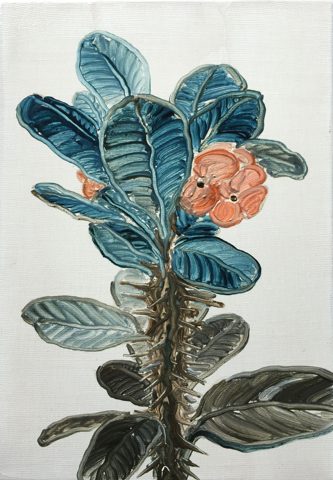 劉致宏, 《麒麟花》 Euphorbia, 2018