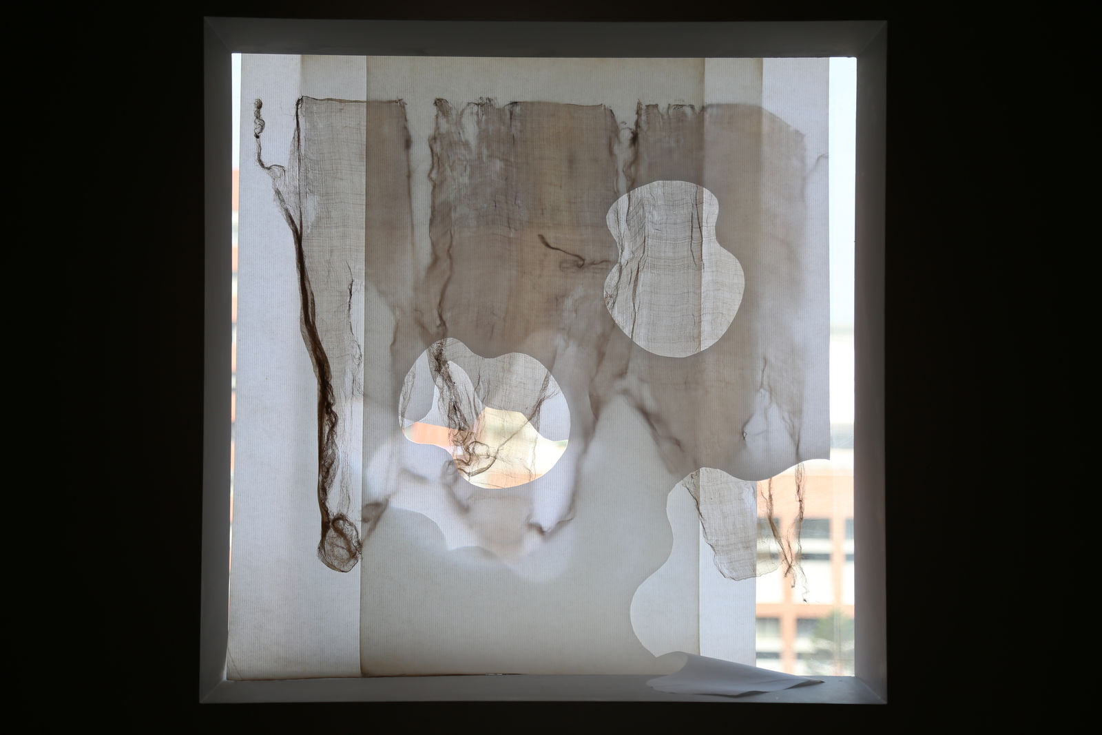 Sandra PALOMAR, 《彌撒樂曲：織品研究》 Benedictus: Study in Drapery, 2018