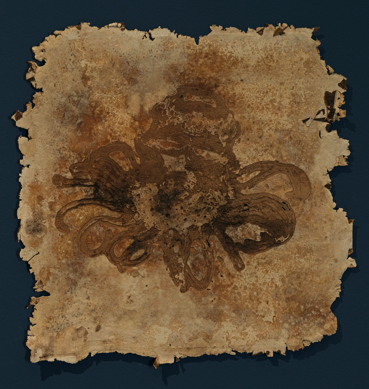 薩伊夫．加里波第, 《印刻 #8》Engrave #8, 2024