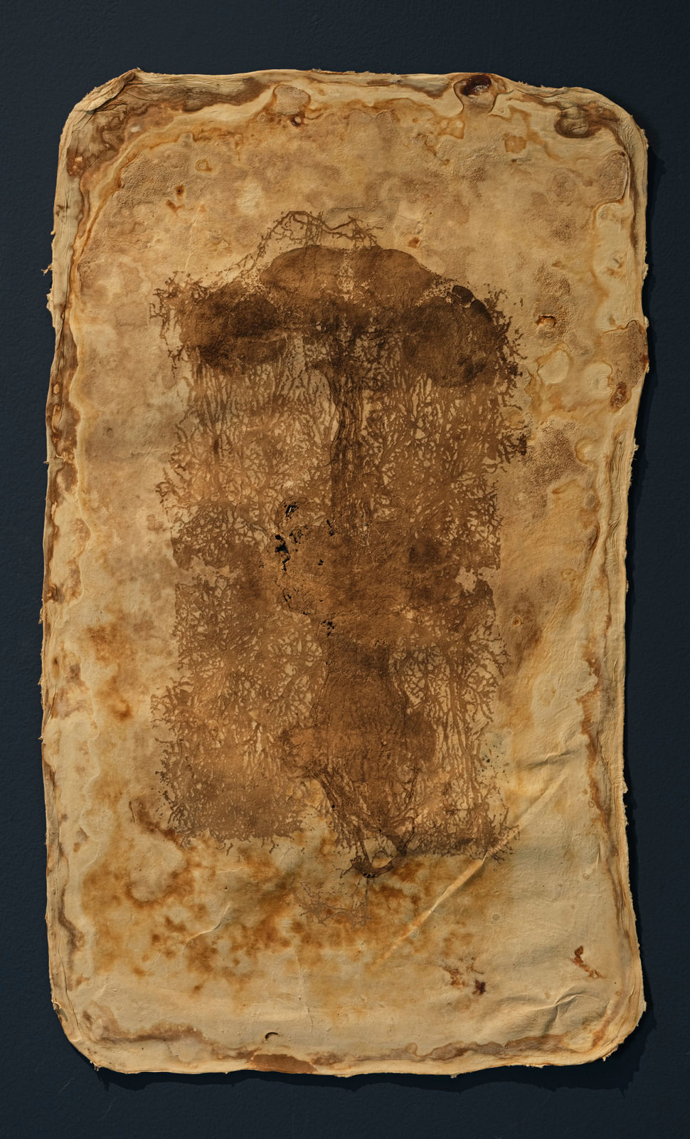 薩伊夫．加里波第, 《印刻 #4》Engrave #4, 2024