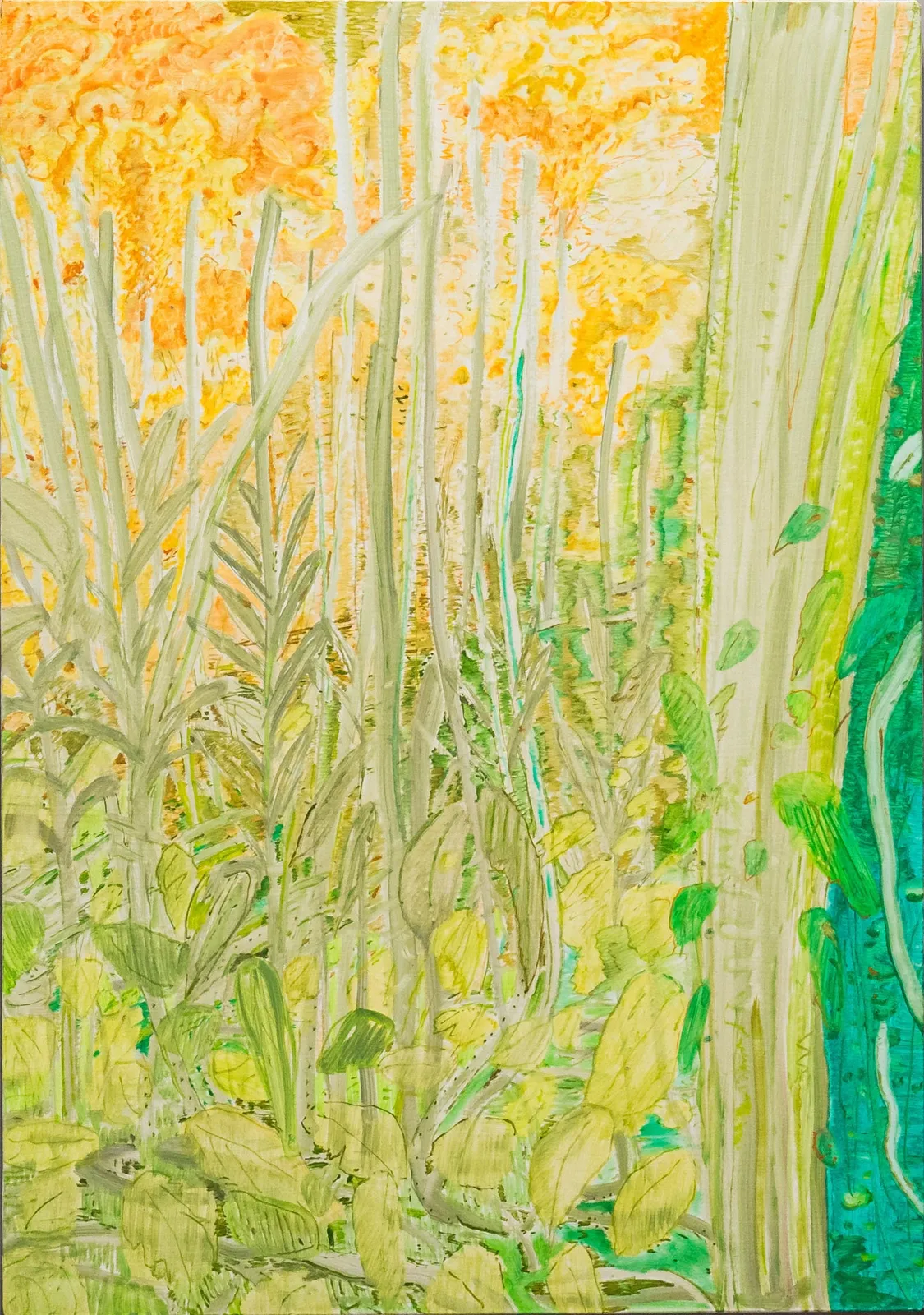 潘麒方, 《雞冠花》 Coxcomb, 2024