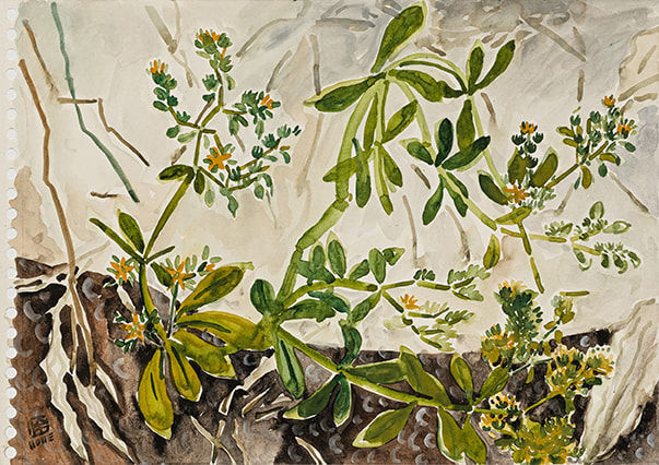 林銓居, 《崖下的小花之一》Small Flower Under Cliff I, 2023