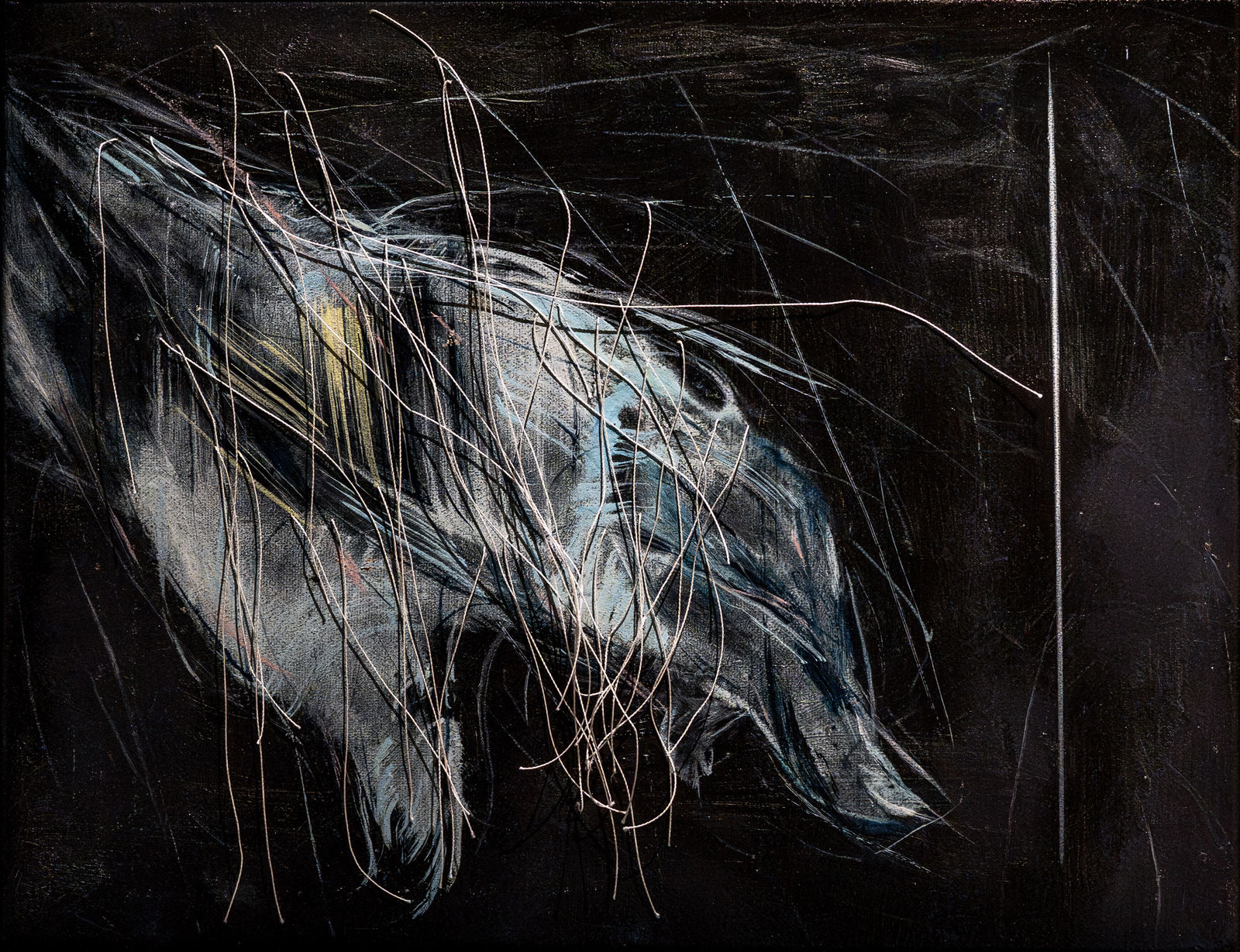 謝鴻均, 《指引》 Guiding, 2025