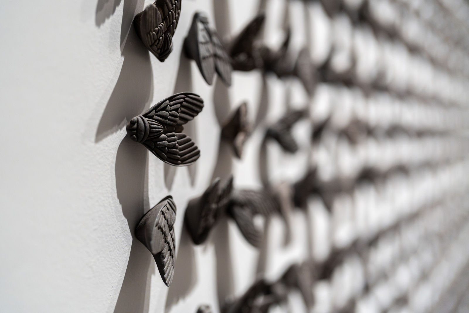 艾伯特・約拿桑・瑟提亞萬, 《重生 I》 Palingenesis I, 2024