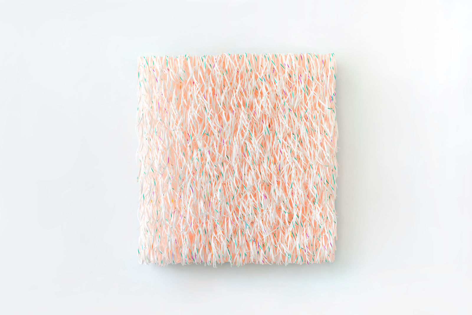 劉文瑄, 《小尾巴》 Green Tails, 2025