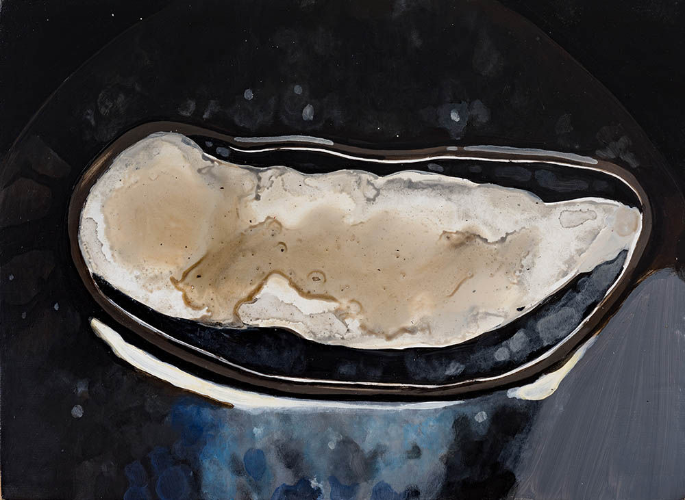 薩伊夫．加里波第, 《可信的微生物 #11》 Porculen Microorganisms #11, 2018