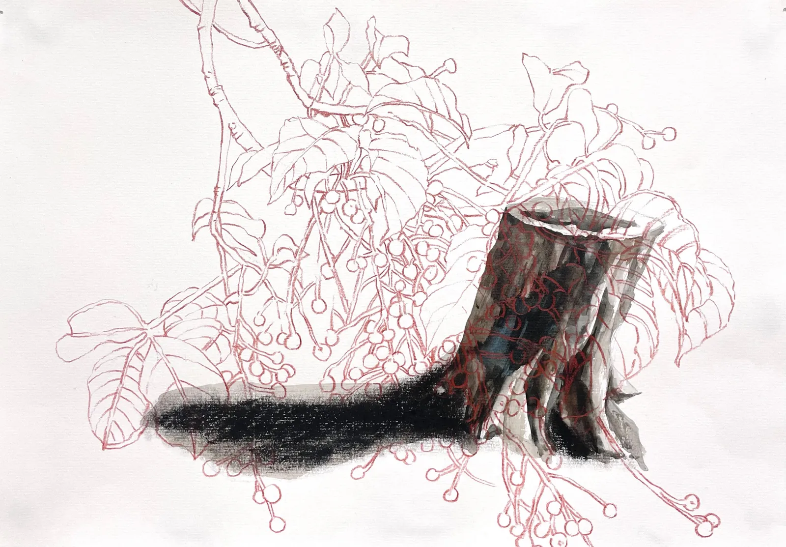 高瑞廷, 《萌蘗-2》 Sprouting-2, 2025