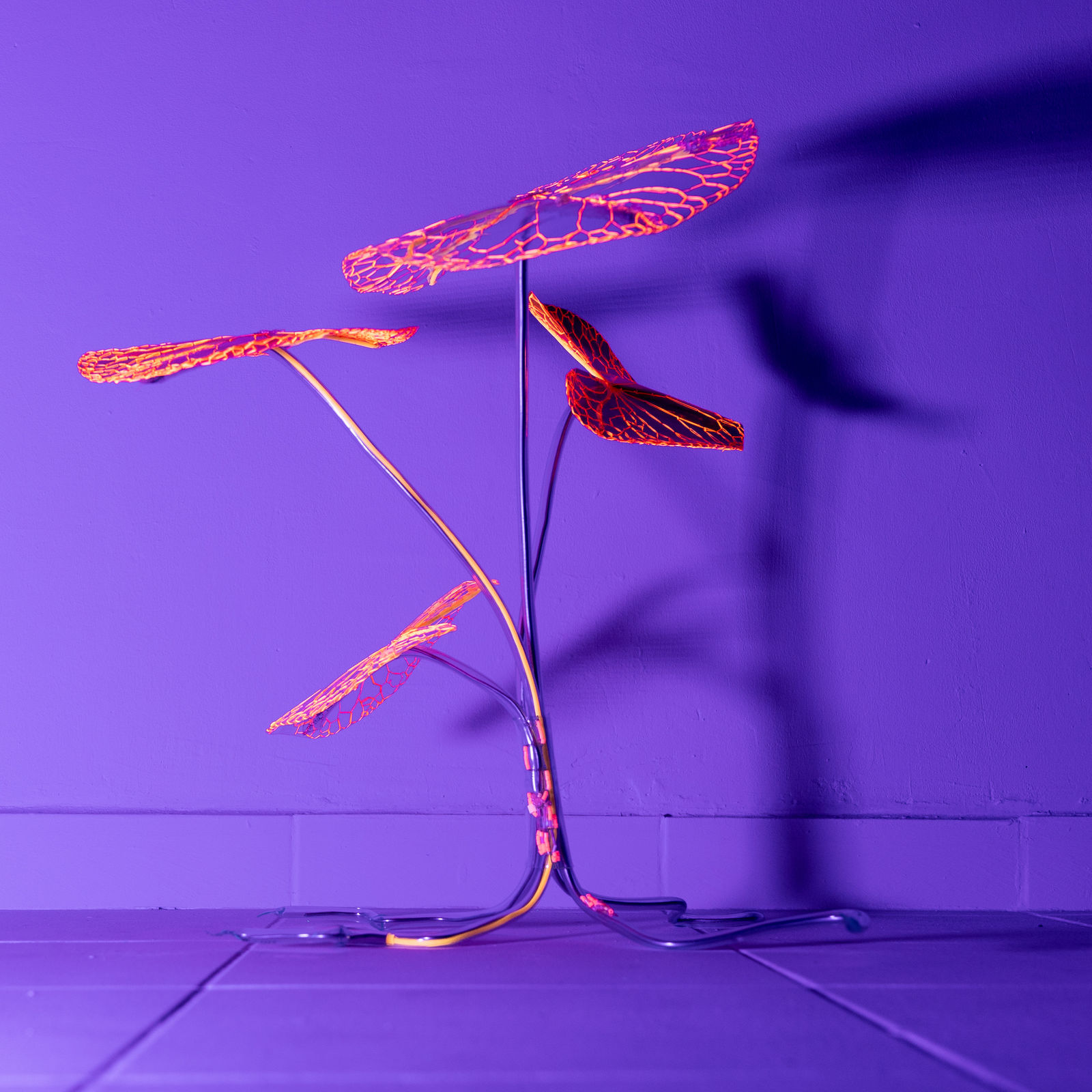 安德利亞・梅達爾, 《末日後的新娘1-17》 Post-apocalyptic bride 1-17, 2023