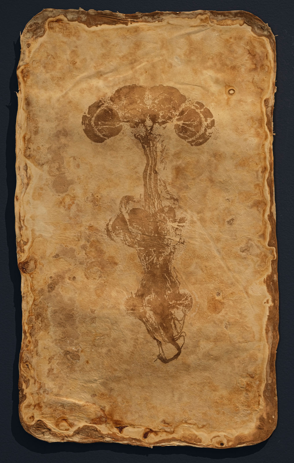 薩伊夫．加里波第, 《印刻 #1》Engrave #1, 2024