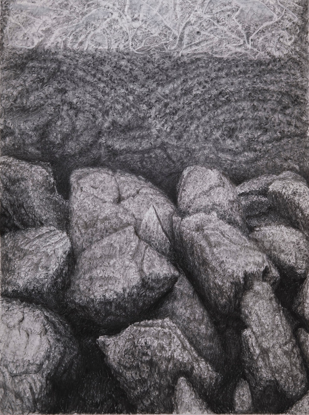 丹．馬諸卡, 《岸邊》Shore, 2023