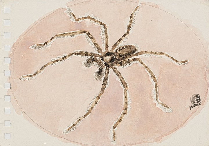 林銓居, 《夜行的蜘蛛》Nocturnal Spider, 2023