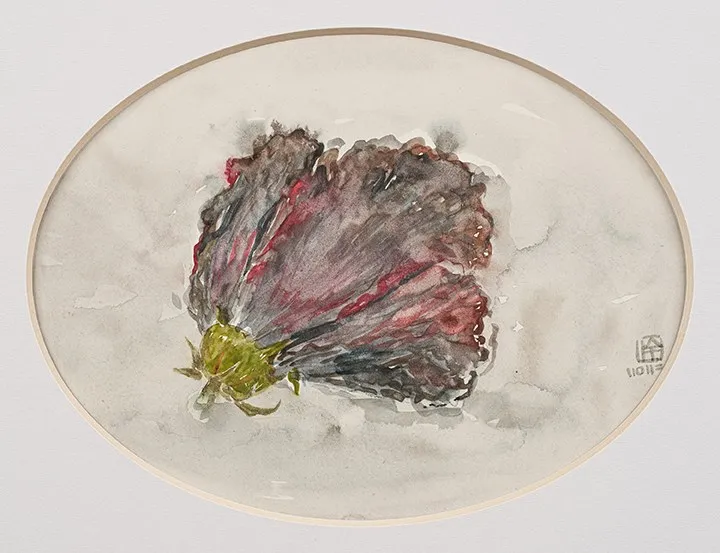 林銓居, 《扶桑花》Chinese Hibiscus, 2023