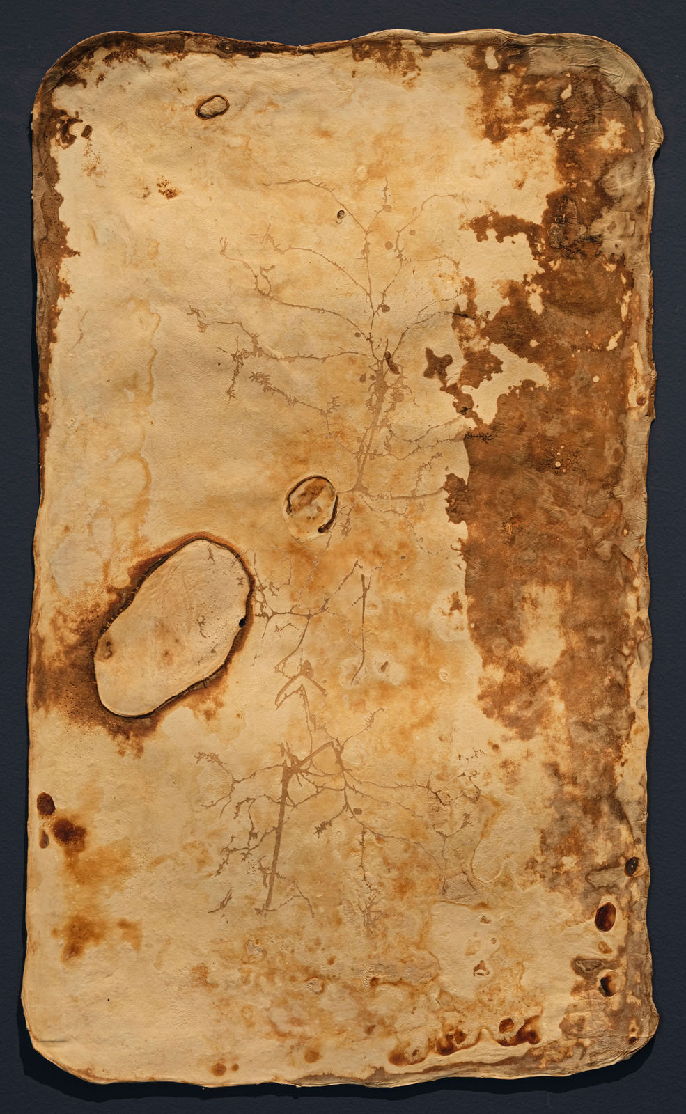 薩伊夫．加里波第, 《印刻 #2》Engrave #2, 2024