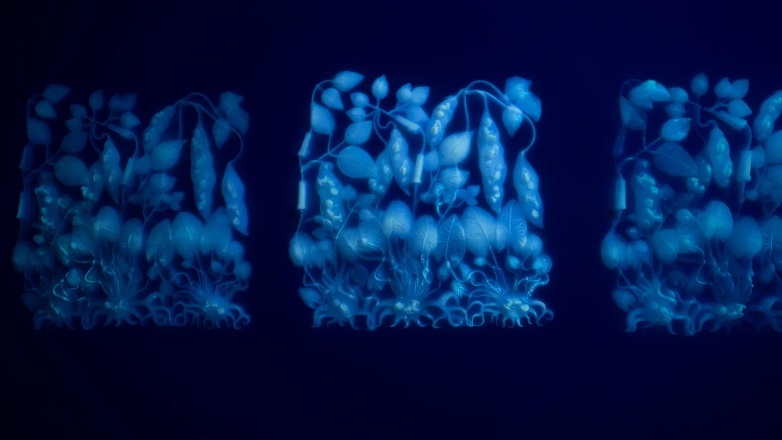 安德利亞・梅達爾, 《流動神殿》 The Fuid Temple , 2022