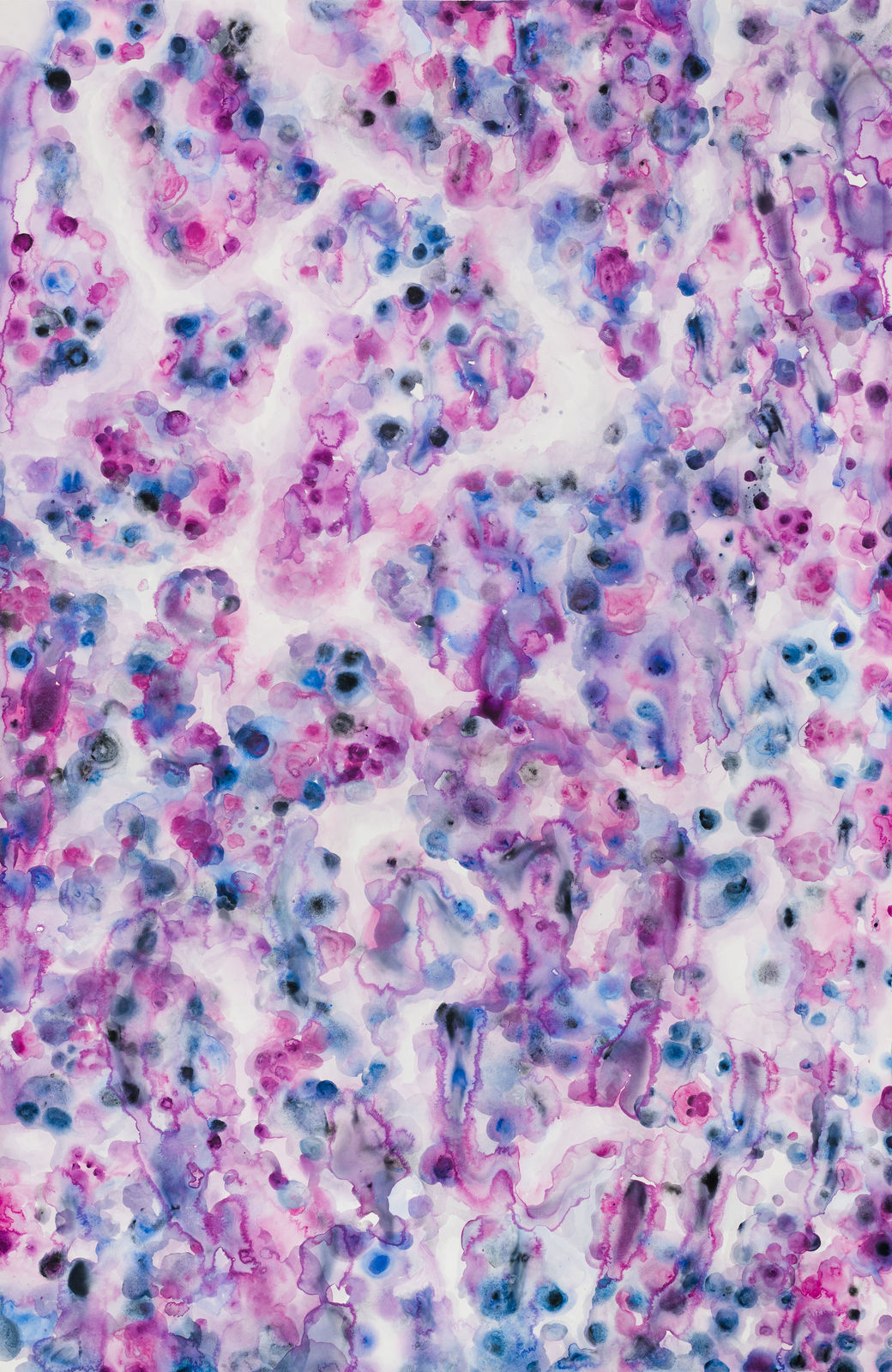 薩伊夫．加里波第, 《可信的微生物 #1》 Porculen Microorganisms #1, 2018