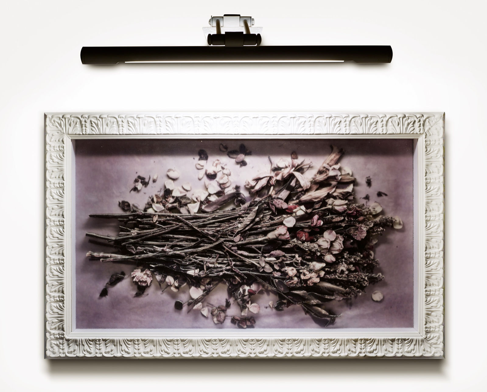 儂娜 · 凱西亞, 《虔誠》 Devout, 2012