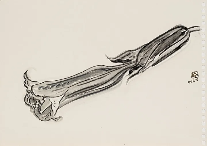 林銓居, 《曼陀羅花蕾之二》Thorn Apple Bud II, 2023