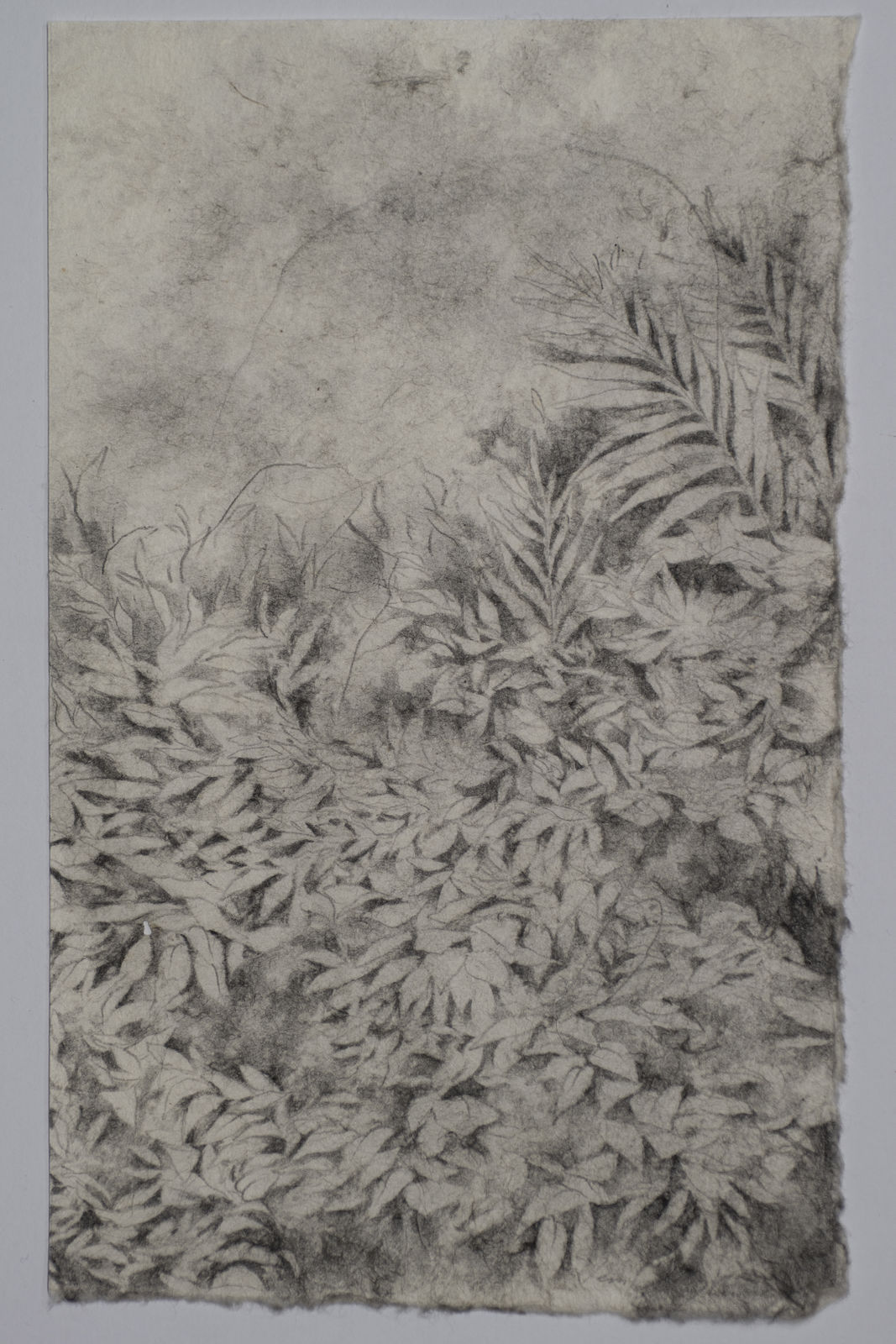 Jem MAGBANUA, 《草枕 II》 ii. Grass Pillow, 2020
