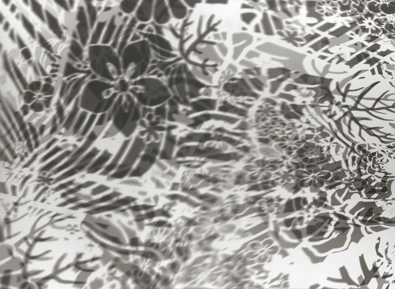 大卷伸嗣, 《重力與恩寵—瞬17/10/2017》 Gravity and Grace–moment 17/10/2017, 2017