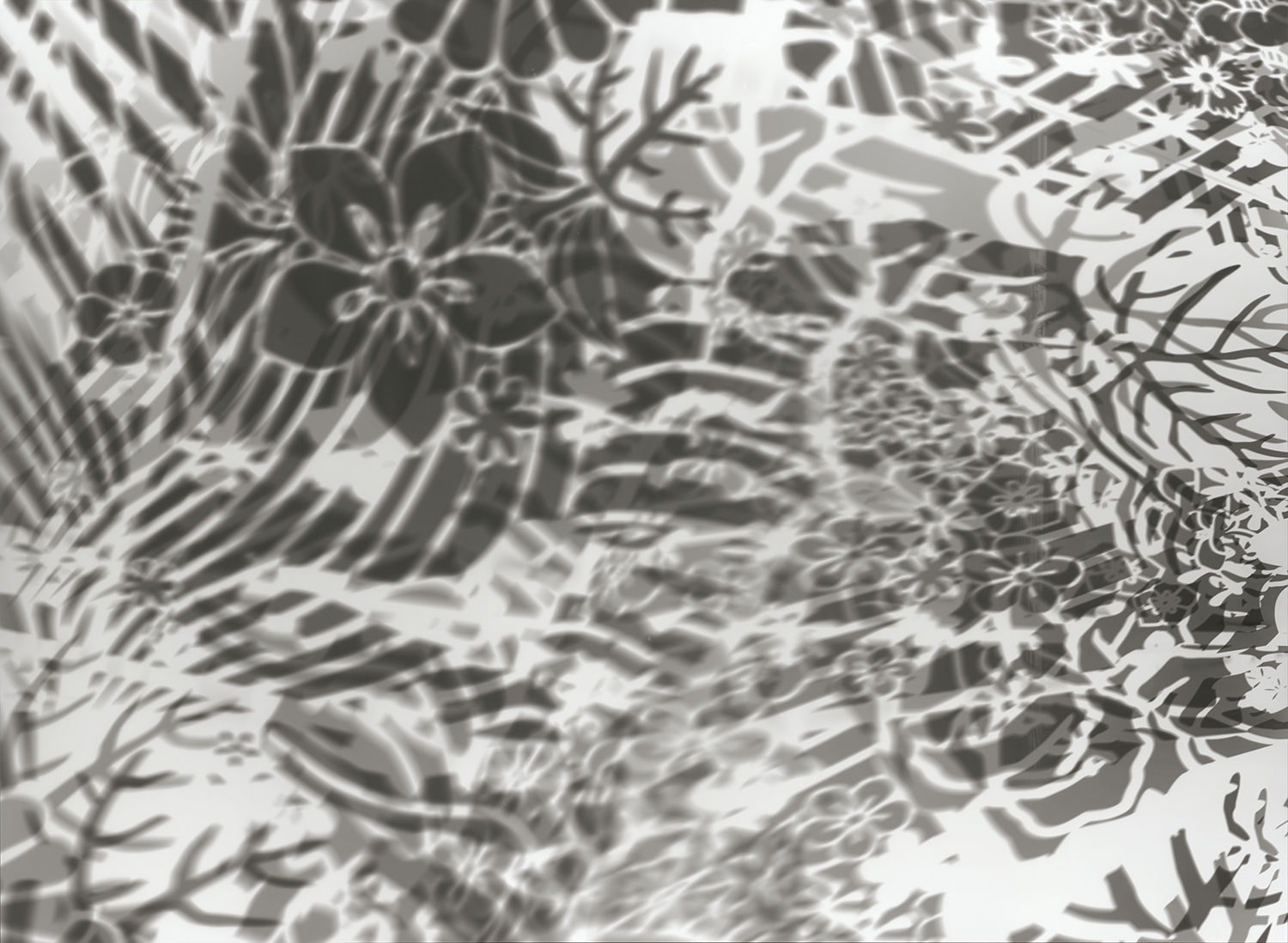 大卷伸嗣, 《重力與恩寵—瞬17/10/2017》 Gravity and Grace–moment 17/10/2017, 2017