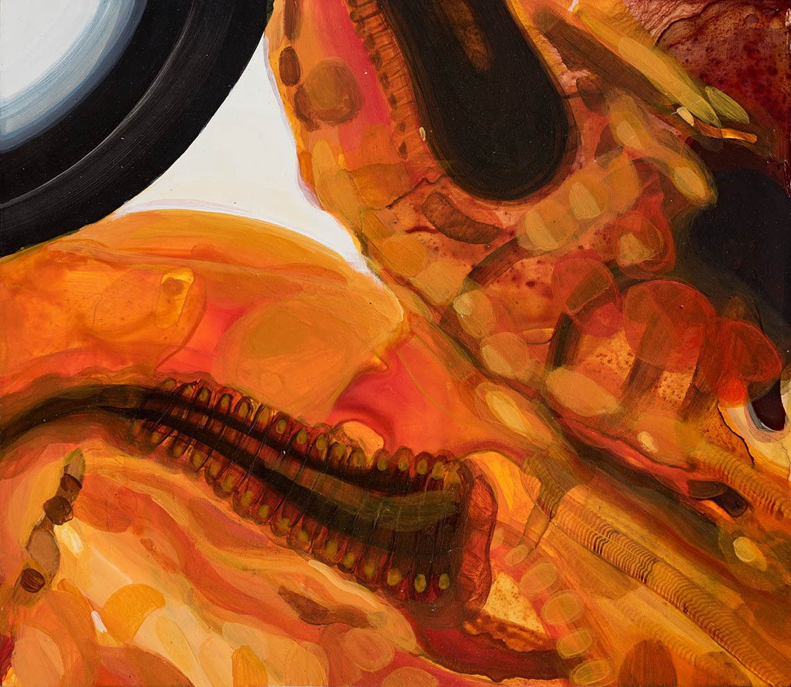 薩伊夫．加里波第, 《可信的微生物 #14》 Porculen Microorganisms #14, 2018