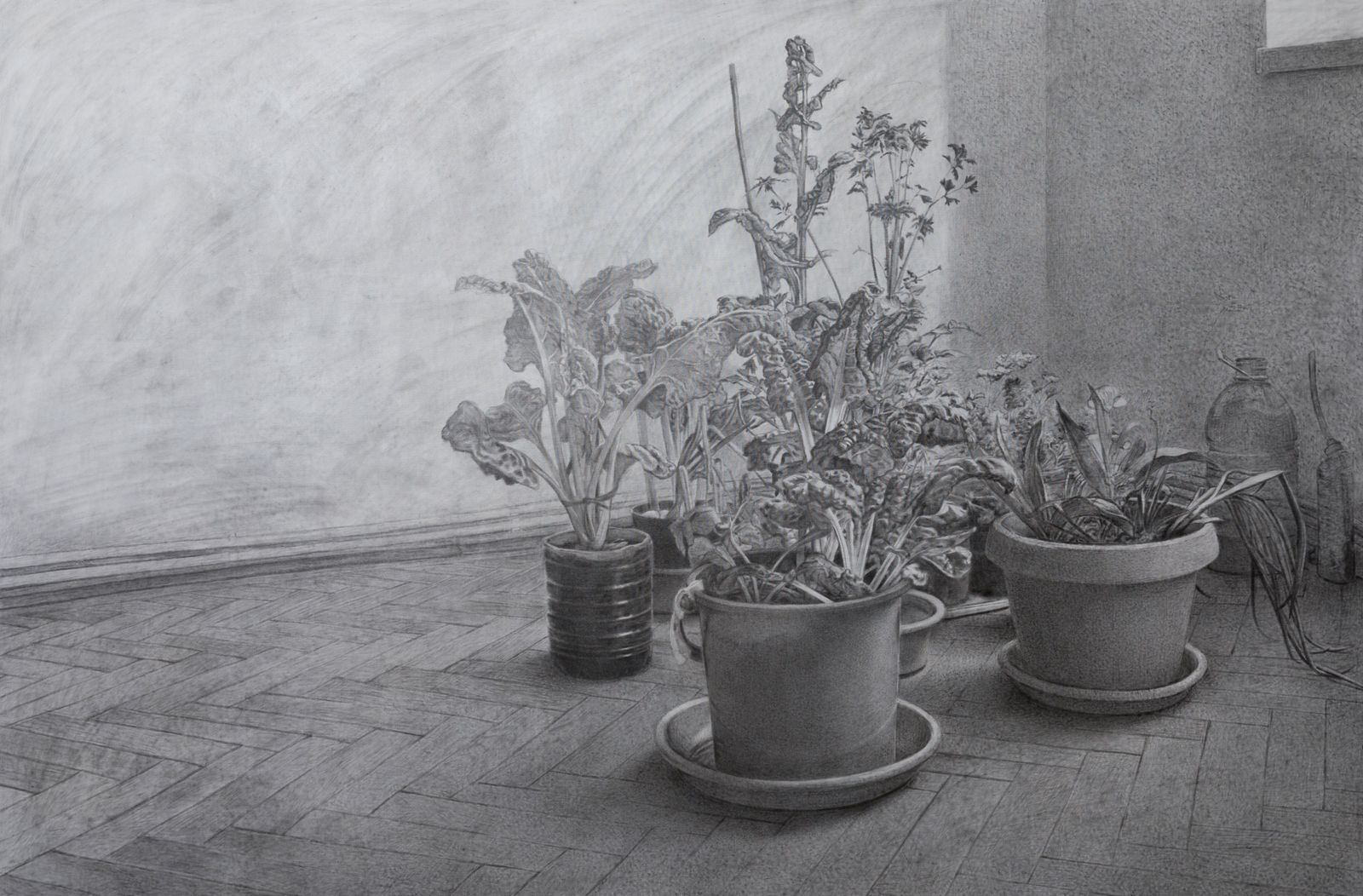 安娜・瑪瑞亞・米庫, 《服務由於......諸如暴雨這樣的事件》 services due to ... events such as thunderstorms, 2022