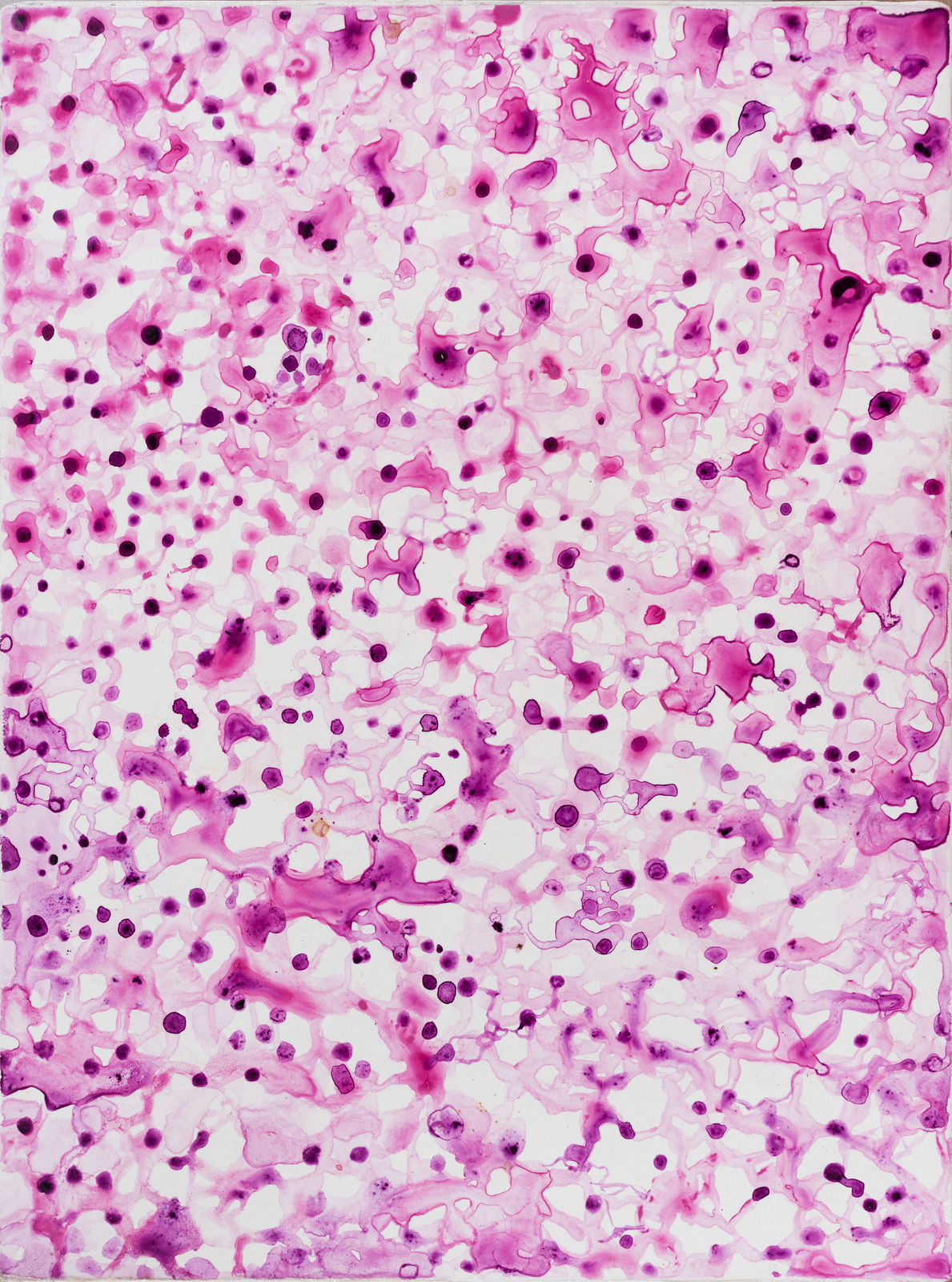 薩伊夫．加里波第, 《可信的微生物 #9》 Porculen Microorganisms #9, 2018