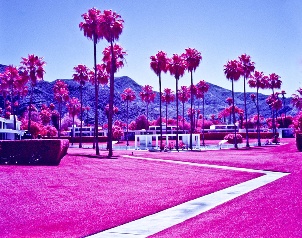 Marco Walker, Superstar, 2020