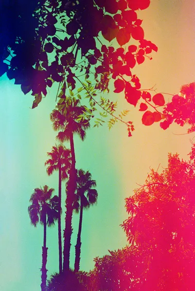 Marco Walker, Colour Bloom, 2017