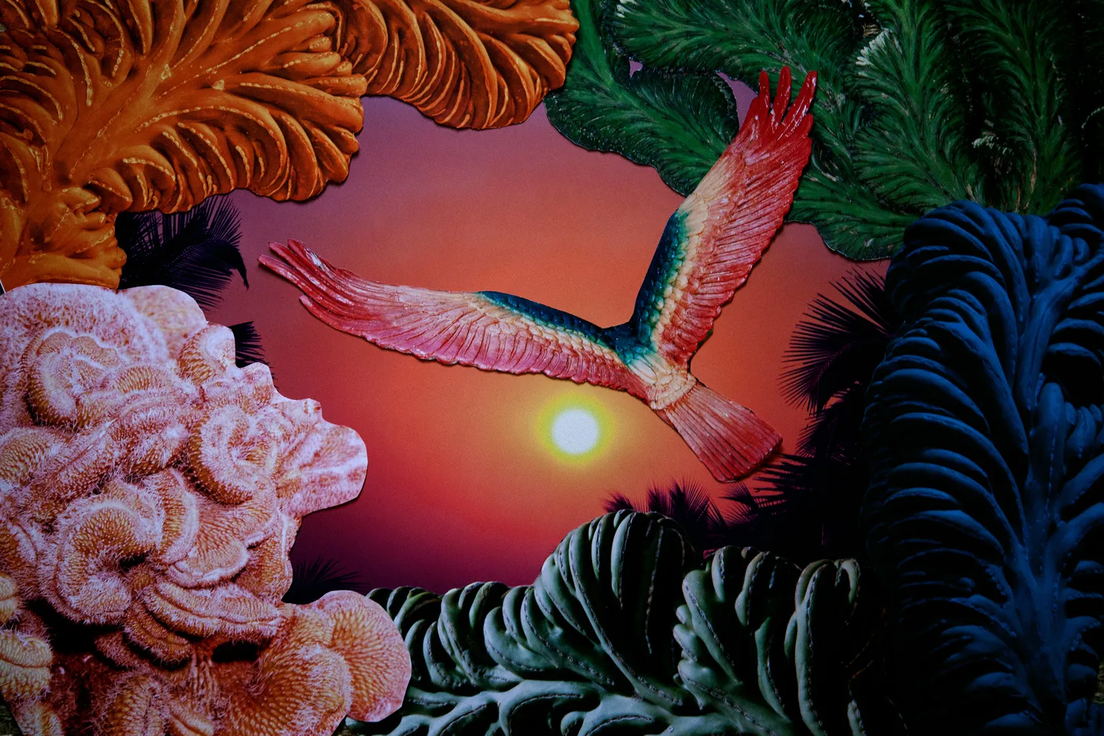 Marco Walker, Amazon, 2016