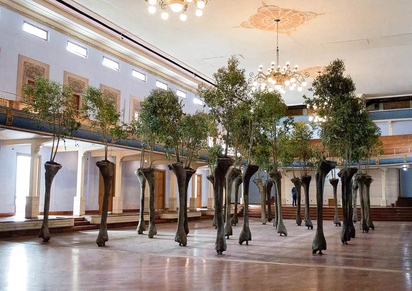 Rafael Gomez Barros, Somos 井 (We are 井), 2013 - 2018