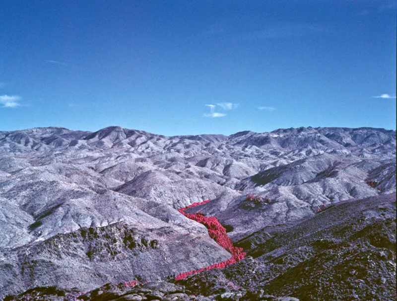 Marco Walker, Palm Valley 1