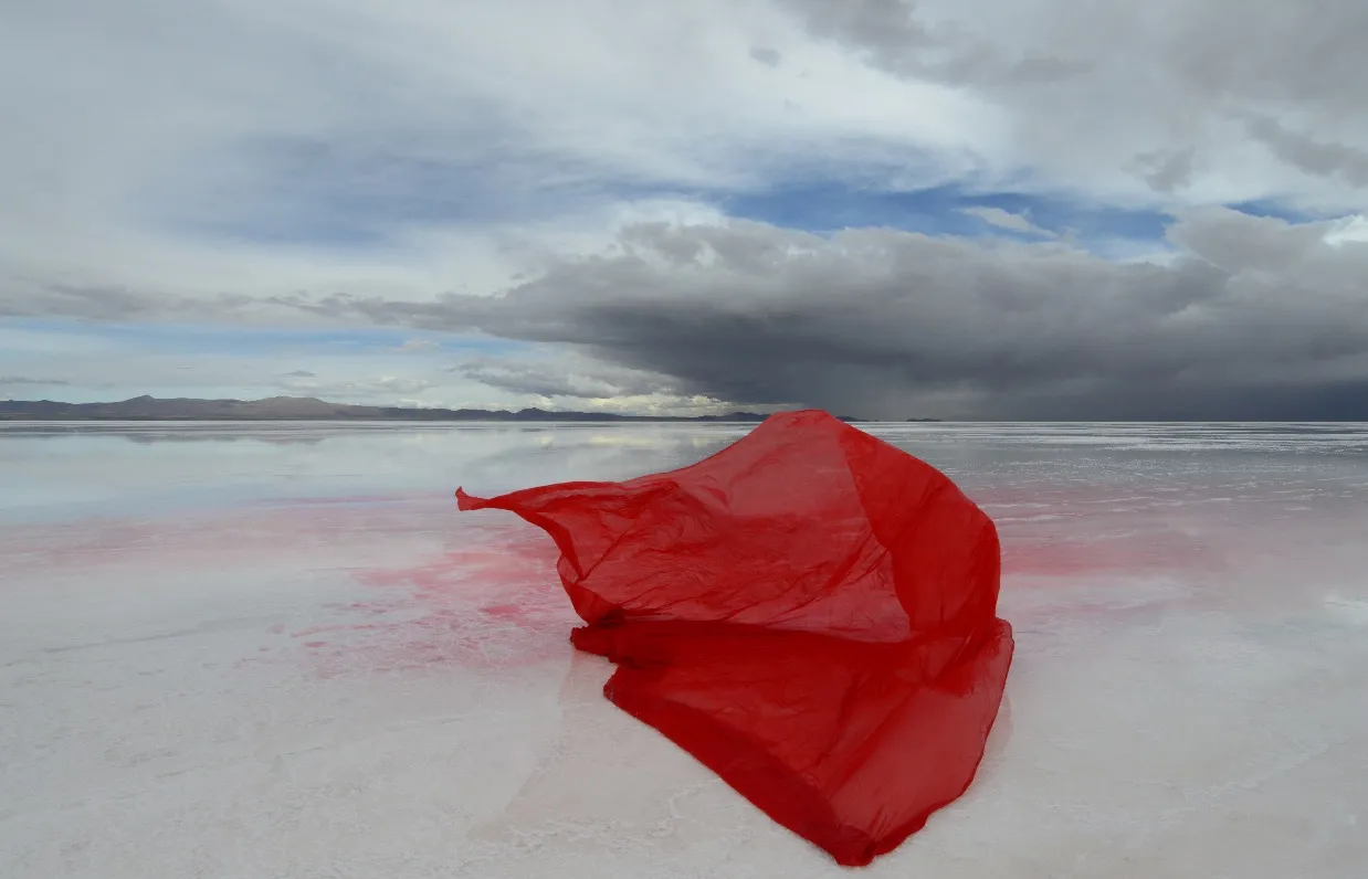 Gaston Ugalde, Untitled, 2015