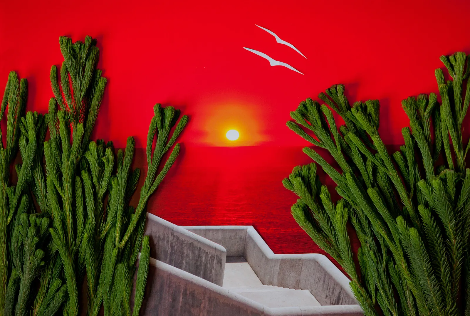 Marco Walker, Acapulco, 2016