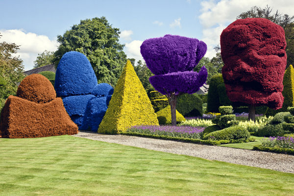 Marco Walker, Levens Hall, 2020