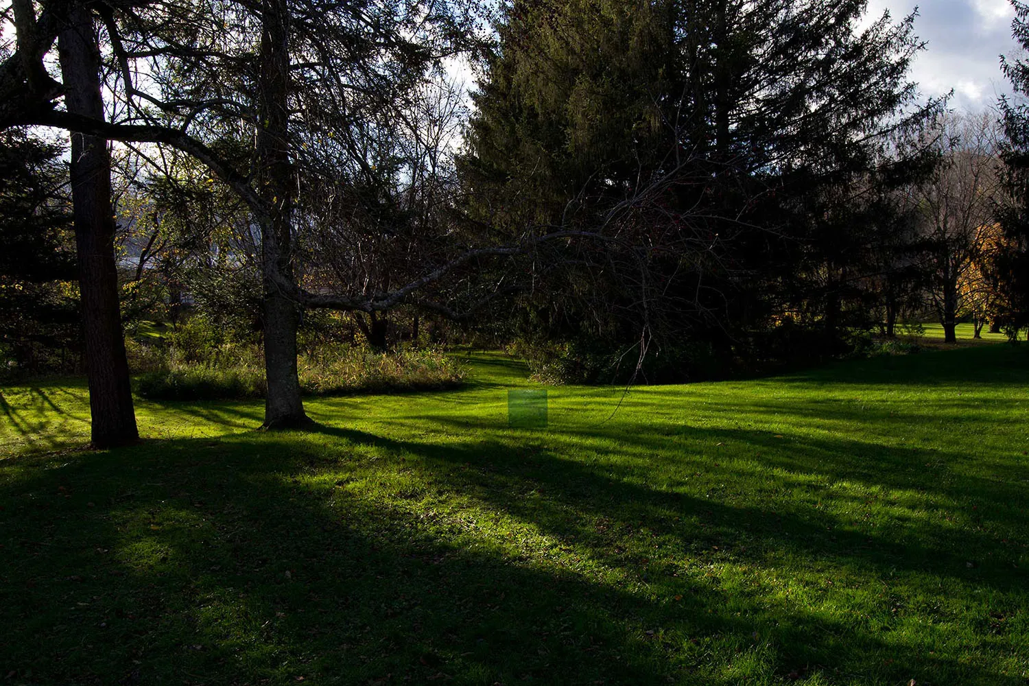 Rachel Valdes, Blue Square, Vermont, USA, 2013