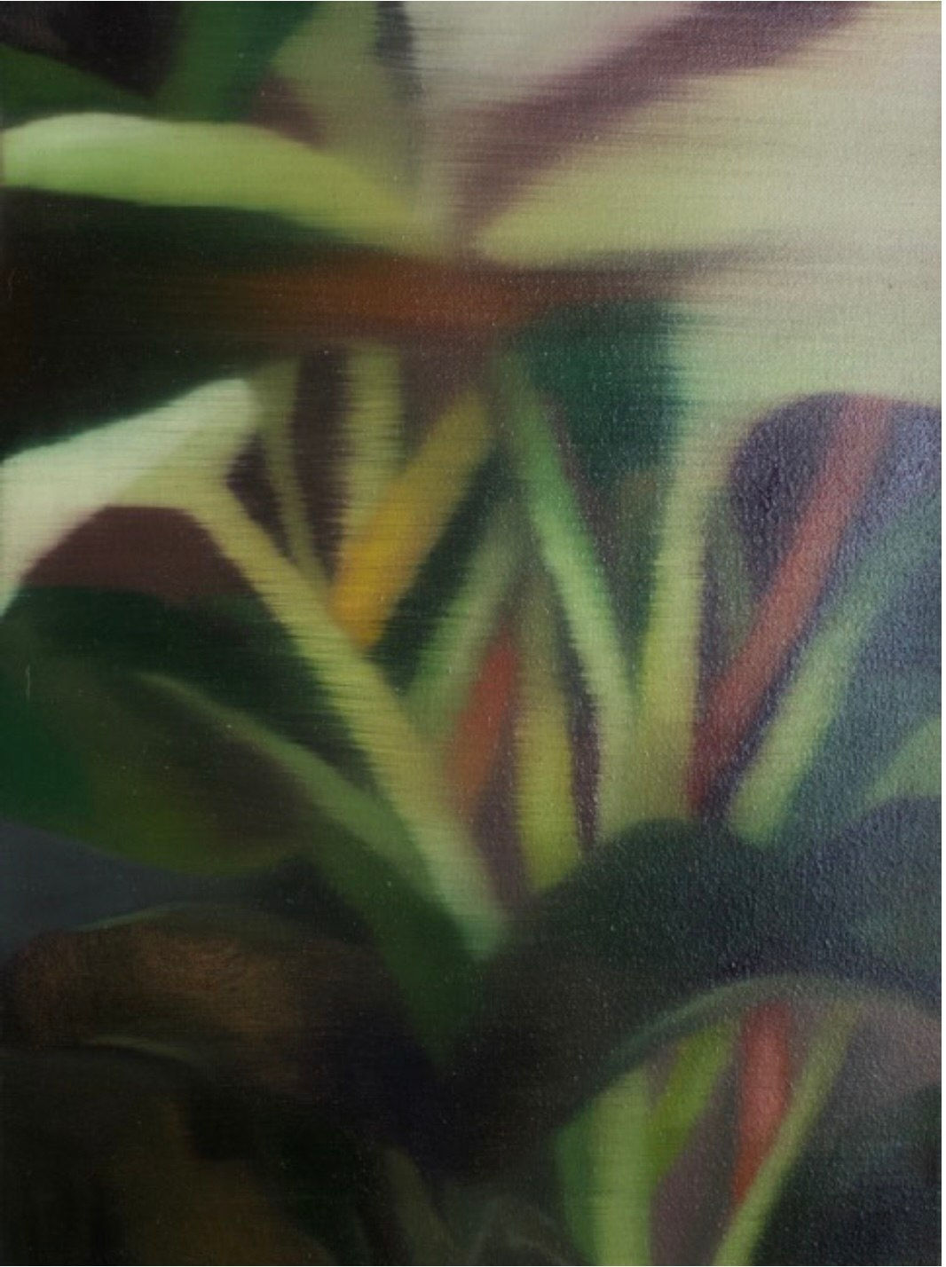 Johanna Bath, Lush II, 2024