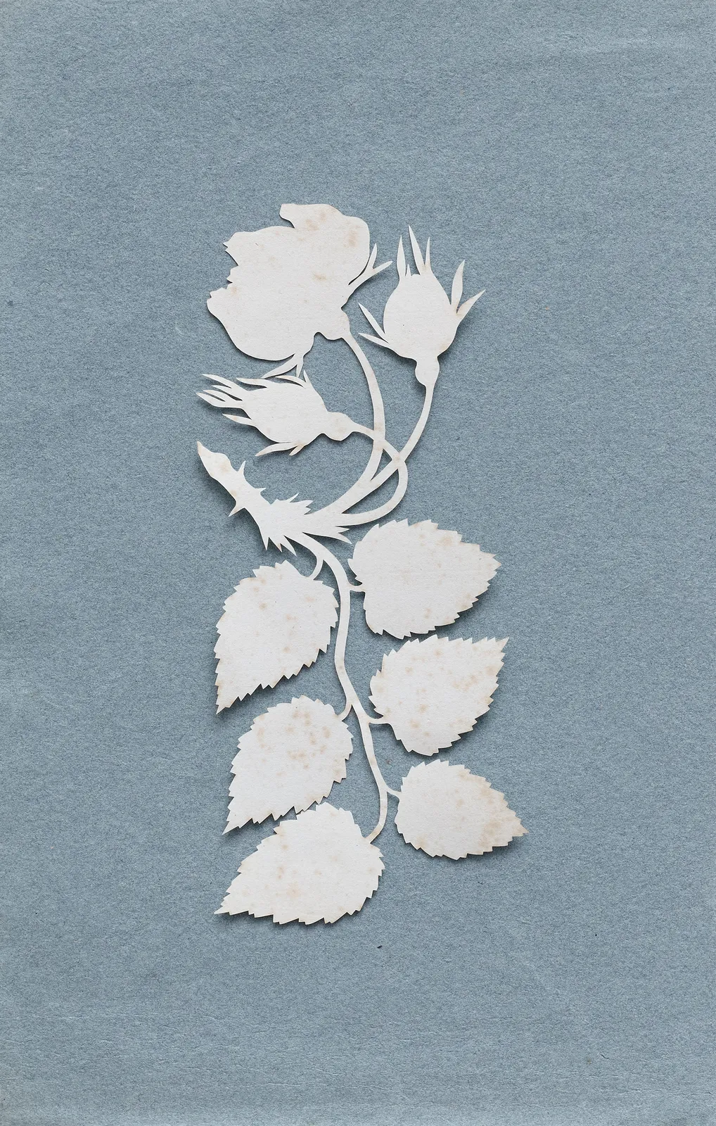 Philipp Otto Runge, Rose, cut out, c. 1800