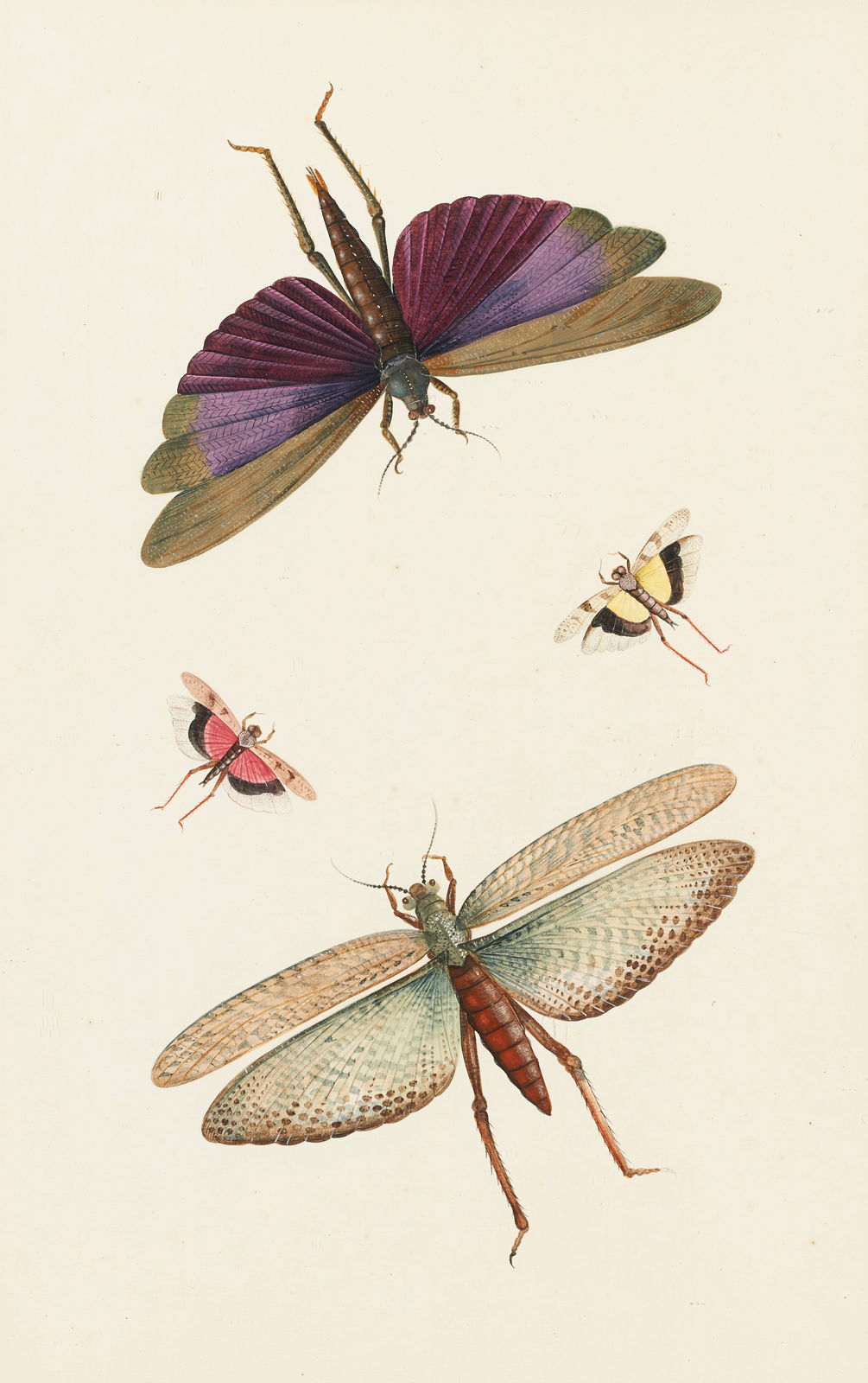 Nicolaas Struyck (1686-1769)